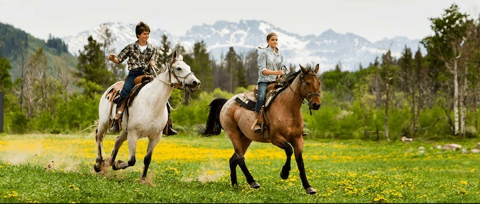 Confident plus-size woman riding Cheadle a horse through a field with a smile on her face.